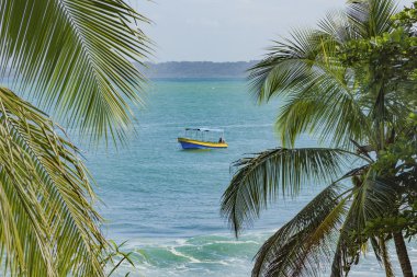 Bocas del Toro Panama bakir tropik sahil