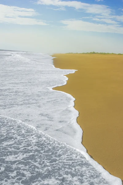 在中美洲的非接触式热带海滩 图库照片