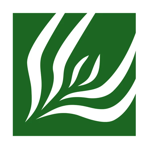 Modelli Design Del Logo Quadrato Verde Astratto Vettoriale Emblemi Centri — Vettoriale Stock