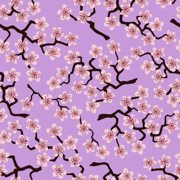 Kumaş, ambalaj, duvar kâğıdı, dekorasyon, tasarım, davetiyeler, baskı, hediye paketi ve imalat için Japon kiraz sakura dallarıyla kusursuz desen. Lavanta arkaplanda pembe çiçekler