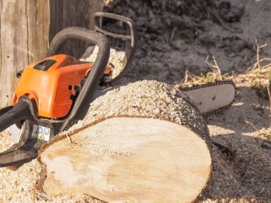 İş bitti, testere tahtayı kesti.