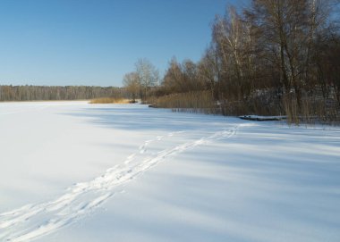 Karda ayak izleri, donmuş karla kaplı bir göl ve mavi bir gökyüzü.