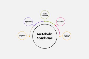 Diagram of Metabolic Syndrome with keywords. EPS 10 clipart
