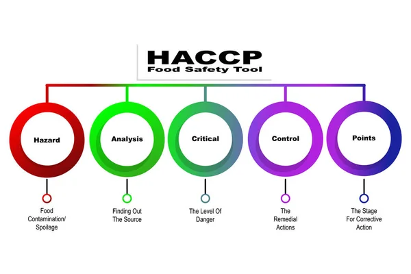 Schéma Haccp Nástroj Pro Bezpečnost Potravin Klíčovými Slovy Eps — Stockový vektor