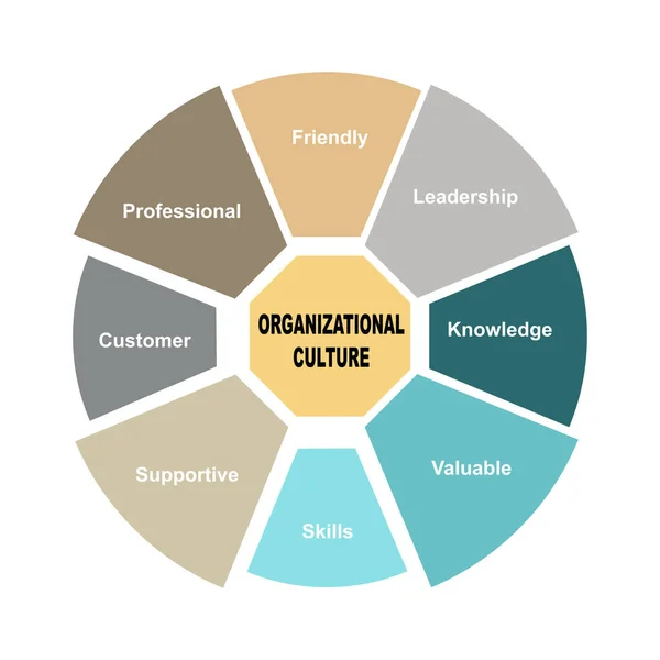 Concetto Diagramma Con Testo Parole Chiave Della Cultura Organizzativa Eps — Vettoriale Stock