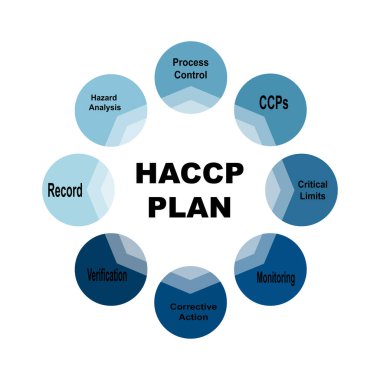 HACCP Planı metin ve anahtar kelimeleriyle diyagram konsepti. Beyaz arkaplanda EPS 10 izole edildi