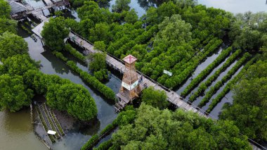 Yağmur mevsiminde balıkçı köyü ve mangrov ormanının havadan görünüşü. Bekasi, Endonezya, 9 Mart 2021