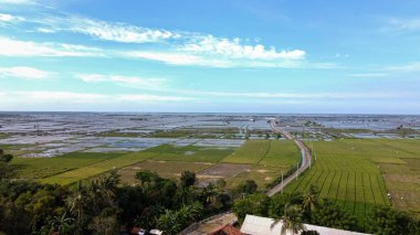 Mavi gökyüzü ve gürültü bulutu ile güzel pirinç tarlalarının hava drone görüntüsü. Bekasi, Endonezya. 21 Mart 2021