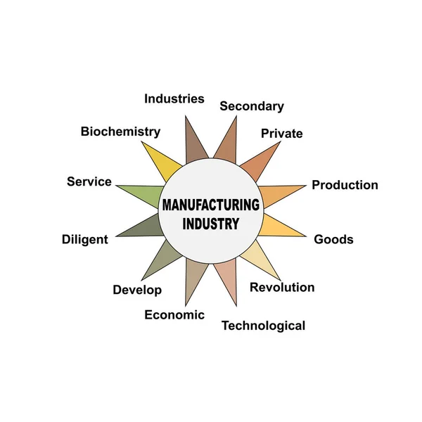 Concepto Diagrama Con Texto Palabras Clave Industria Manufacturera Eps Aislado — Vector de stock