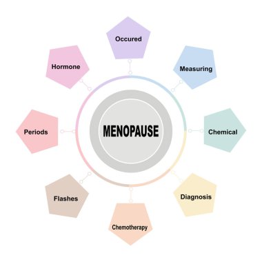Menopoz metni ve anahtar kelimelerle diyagram konsepti. Beyaz arkaplanda EPS 10 izole edildi