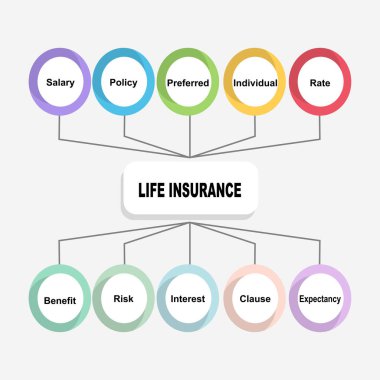 Hayat Sigortası metni ve anahtar kelimeleriyle diyagram konsepti. Beyaz arkaplanda EPS 10 izole edildi