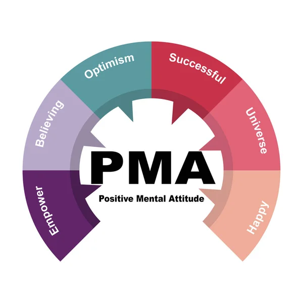 Conceito Diagrama Com Pma Texto Atitude Mental Positiva Palavras Chave —  Vetores de Stock