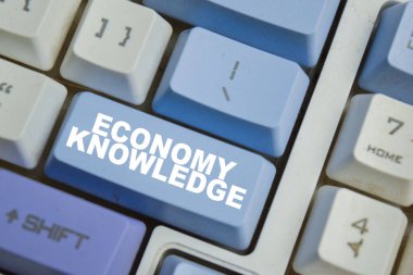 Ekonomi bilgisi, klavyedeki entelektüel sermaye düğmesine dayanan bir tüketim ve üretim sistemidir.