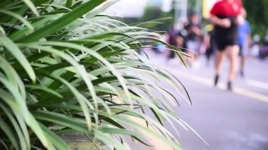 Yavaş çekim sonbahar şehir caddesi odak arkaplanı bulanık yapraklarla