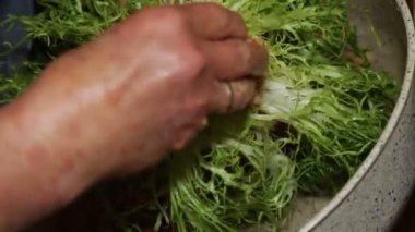 Kıvırcık hindibanın içini ekmek kırıntıları, siyah zeytin, domates, yumurta, kekik, sarımsak, maydanoz ve tuzla dolduran yaşlı bir kadının elleri. Vejetaryen versiyonu. Köy kökenli tipik Napoli yemeği..