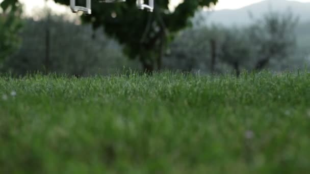 Landing Græsset Dji Phantom Quadrocopter Drone Med Høj Opløsning Digitalkamera – Stock-video