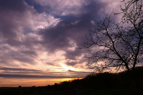 Silueta Rama Árbol Amanecer Escena Otoño Invierno Con Cielo Dramático — Foto de Stock