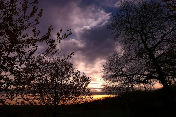 Silhueta Ramo Árvore Amanhecer Cena Outono Inverno Com Céu Dramático — Fotografia de Stock