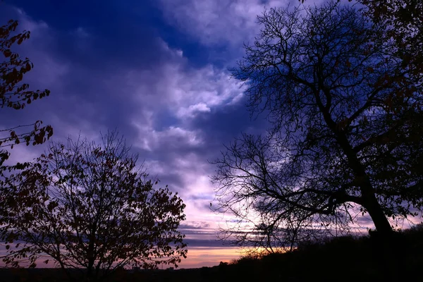 Силует Гілки Дерева Сході Сонця Осіння Або Зимова Сцена Драматичним — стокове фото