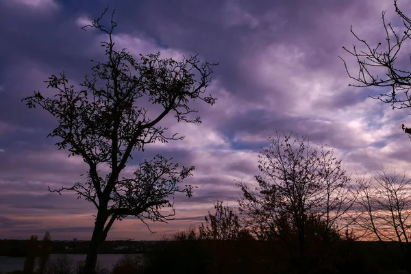 Силует Гілки Дерева Сході Сонця Осіння Або Зимова Сцена Драматичним — стокове фото