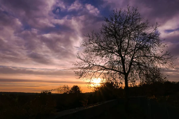 Silueta Rama Árbol Amanecer Escena Otoño Invierno Con Cielo Dramático — Foto de Stock