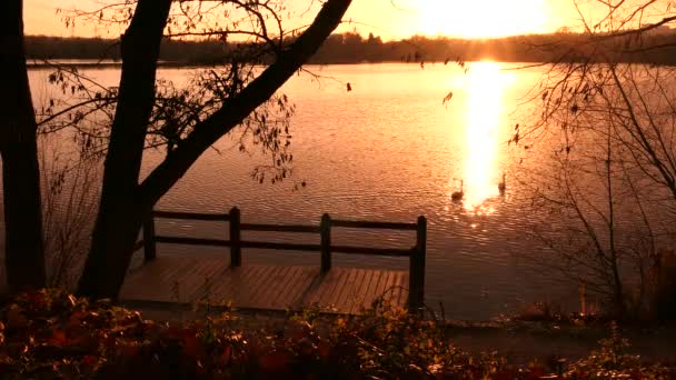 Surpreendente Nascer Sol Pôr Sol Sobre Lago Silhueta Árvore Sem — Vídeo de Stock