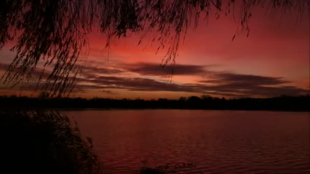 Increíble Amanecer Sobre Agua Lapso Tiempo Nubes Lago Silueta Sauce — Vídeos de Stock