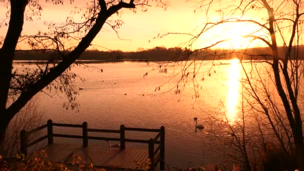 Incredibile Alba Tramonto Lago Silhouette Albero Senza Foglia Pontone Legno — Video Stock