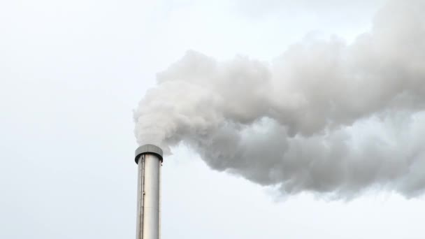 Chaminé Industrial Uma Fábrica Fumo Fumaça Poluente Subindo Céu Conceito — Vídeo de Stock