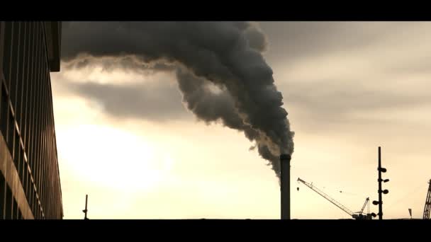 Camino Industriale Una Fabbrica Fumo Fumo Inquinante Che Sale Nel — Video Stock