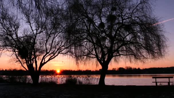 Vacker Soluppgång Med Utsikt Över Sjö Landsbygdsscen Med Silhuett Gråtande — Stockvideo