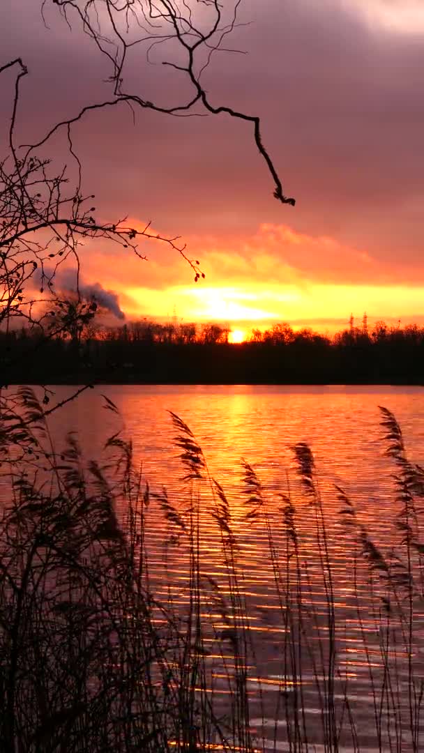 Schöner Sonnenaufgang Mit Blick Auf Einen See Ländliche Szene Mit — Stockvideo