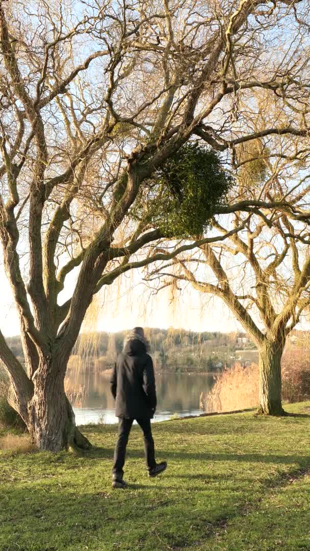 Uomo Cappotto Nero Cammina Lungo Lago Parco Poi Ferma Contemplare — Video Stock