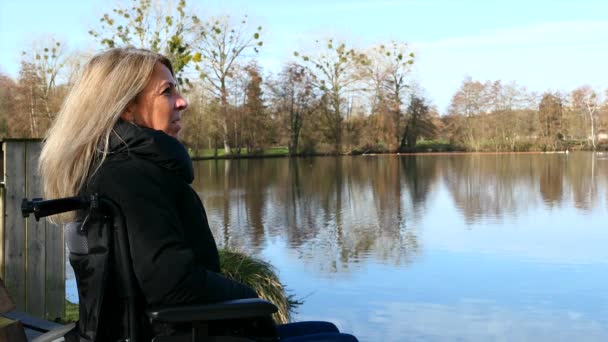 残疾人的概念 一个坐在外面的轮椅上的女人在湖边的大自然里 — 图库视频影像