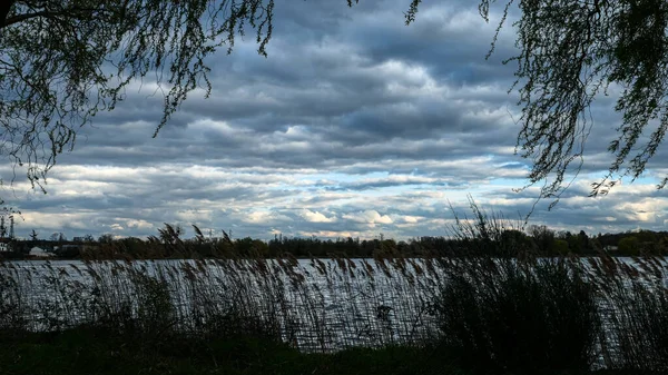 Ciel Mousseux Avec Silhouette Saule Pleureur Devant Lac Ciel Dramatique — Photo