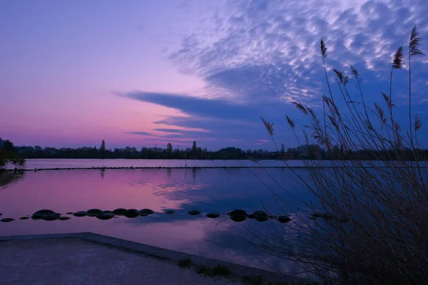 Ciel Rose Lever Coucher Soleil Heure Bleue Vue Sur Lac — Photo