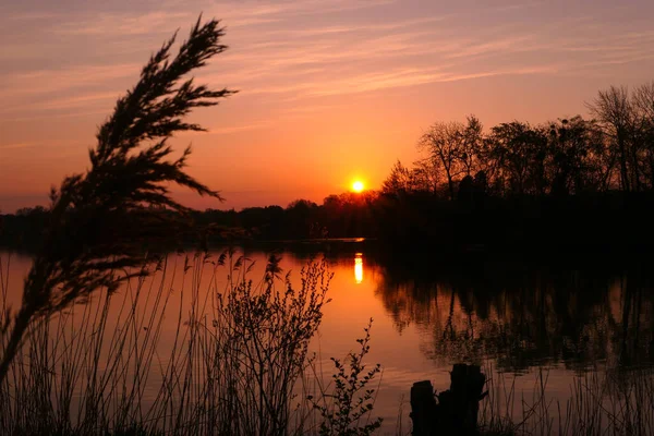 Orangefarbener Sonnenaufgang Oder Sonnenuntergang Über Einem See Ländliche Szene Mit — Stockfoto