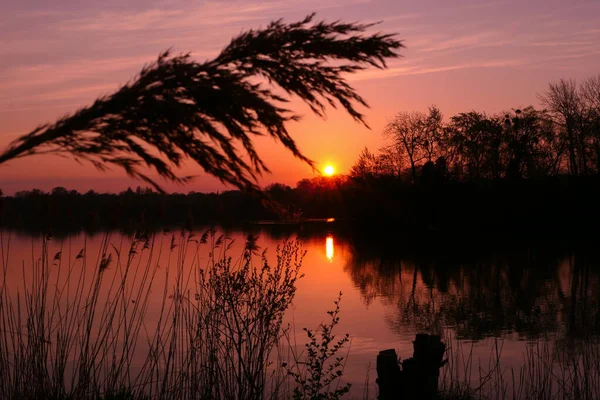 Nascer Sol Laranja Pôr Sol Sobre Lago Cena Rural Com — Fotografia de Stock