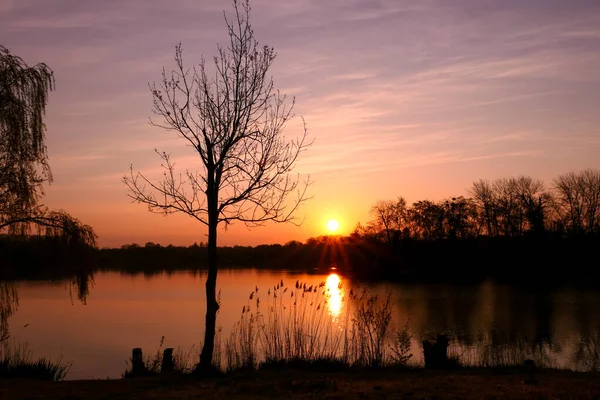 Orange sunset or sunrise over the water in rural scene. View on sundown on the horizon in the background of a lake. Silhouette of trees.