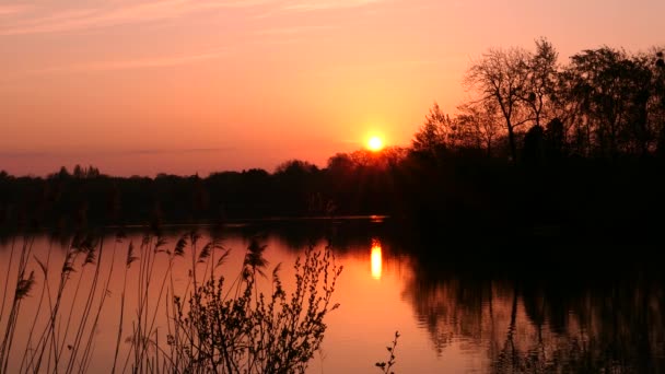 Καταπληκτική Ανατολή Ηλιοβασίλεμα Πάνω Από Νερό Majestic Αγροτική Σκηνή Σιλουέτα — Αρχείο Βίντεο