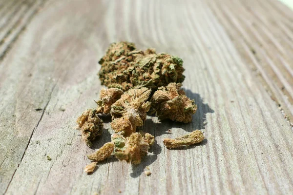 Primer Plano Las Flores Cannabis Cbd Sustancia Que Contiene Cannabidiol —  Fotos de Stock