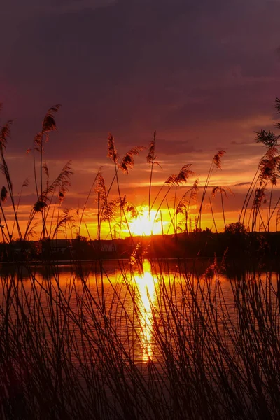 水の上に劇的な空と素晴らしい風景 湖の前に植生のシルエットを持つ農村部のシーンで日の出や日没 — ストック写真