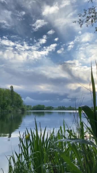 夏の田園風景の中に湖を眺めます 水の中に白い雲と空の対称性 前景の植生や背景の木 垂直形式のビデオ — ストック動画