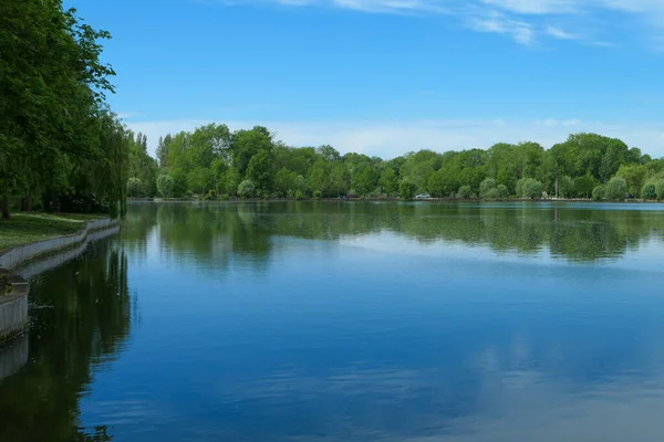 Riflessione Una Foresta Nell Acqua Scena Rurale Con Belle Nuvole — Foto Stock