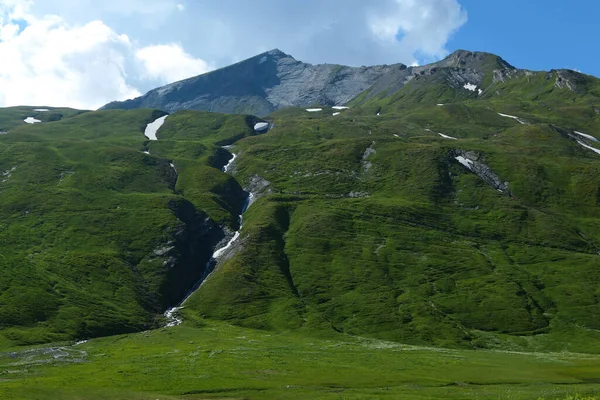 Grüne Weiden Der Höhe Sommer Felsige Berggipfel Hintergrund — Stockfoto