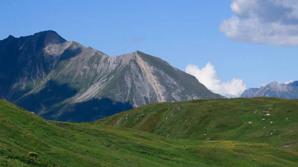 Pastos Verdes Altitud Verano Picos Rocosos Montaña Fondo —  Fotos de Stock