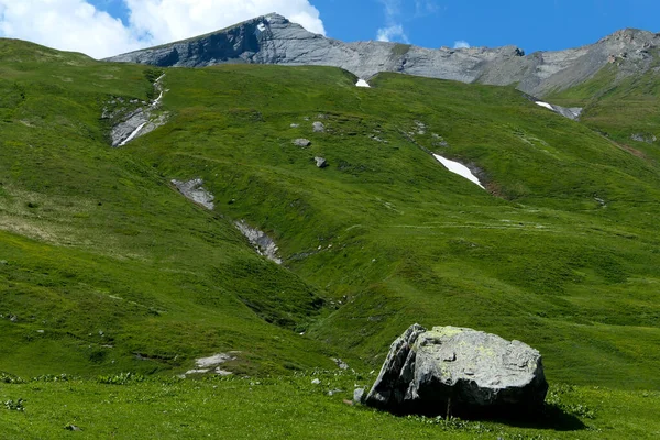 Pastos Verdes Altitud Verano Picos Rocosos Montaña Fondo —  Fotos de Stock
