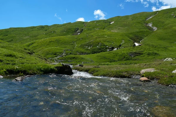 溪流在牧场中间 夏天或春天的山中小河 — 图库照片