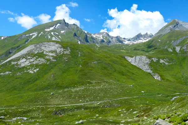 Pastos Verdes Altitud Verano Picos Rocosos Montaña Fondo Vista Del —  Fotos de Stock