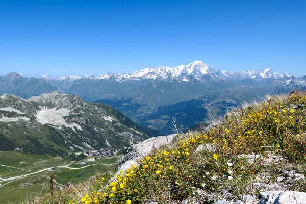 モンブランの塊の眺め 夏の山岳風景 手前の黄色い野花 — ストック写真